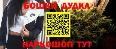 дмт Камышлов